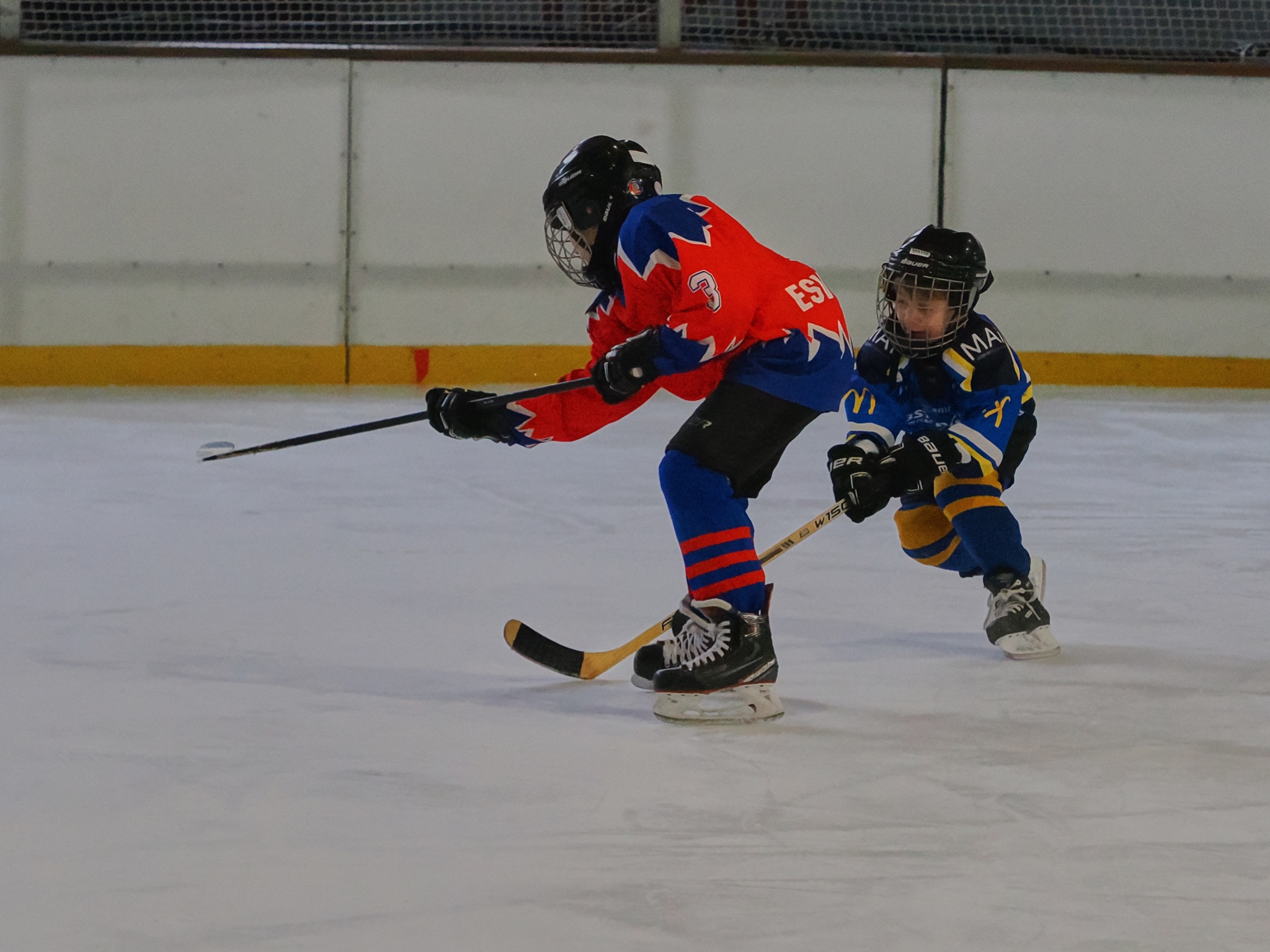 Turniertag 2025 1955